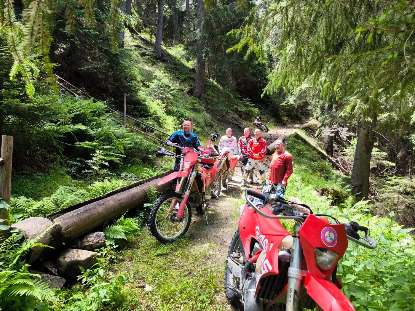 A group of enduro riders paused with their GASGAS bikes on a forest trail in the Bulgarian mountains — off-road riding that needs no motorcycle licence
