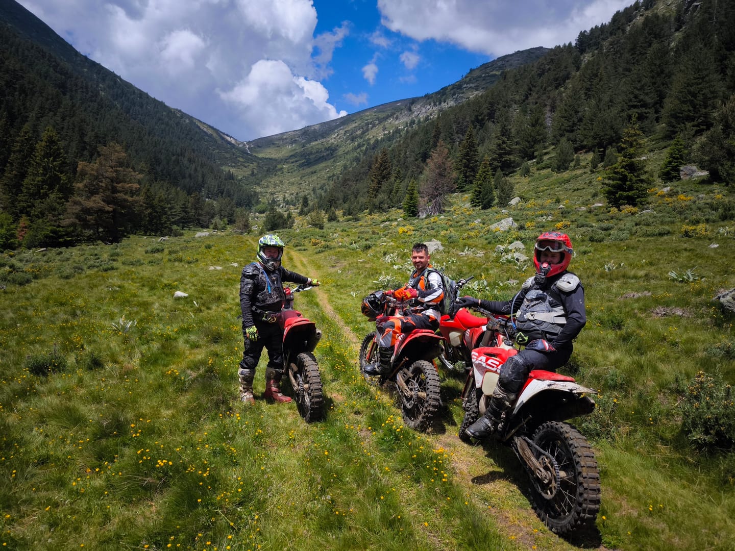 Enduro rider on forest singletrack in the Pirin Mountains, Bulgaria, with European mountain ranges representing the continent’s enduro destinations